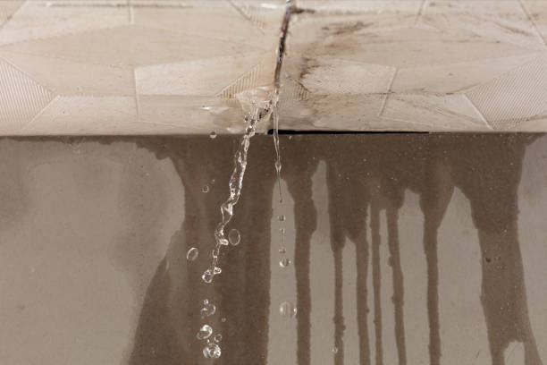 Professional Structural Drying technician working in Forestville, WI